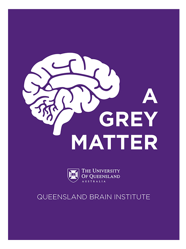 The Brain Nature of Discovery pdf QBI