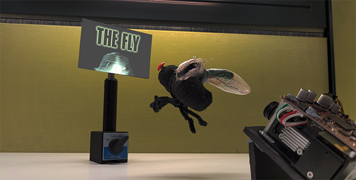 Little Fly, Big Screen by Matthew Van De Poll and Dr Dinis Gokaydin